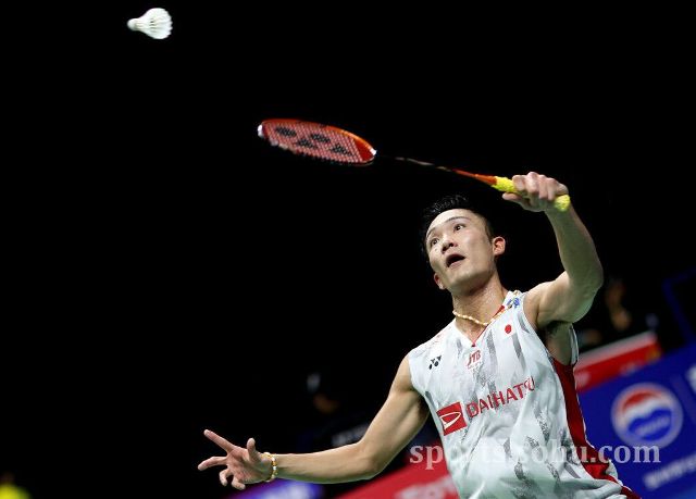 的良好表现 的良好表现