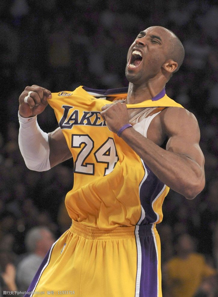 传统刚性材 传统刚性材