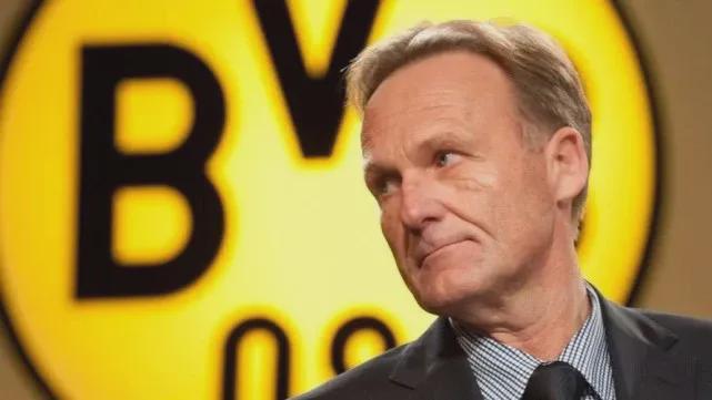 我只是在维 我只是在维